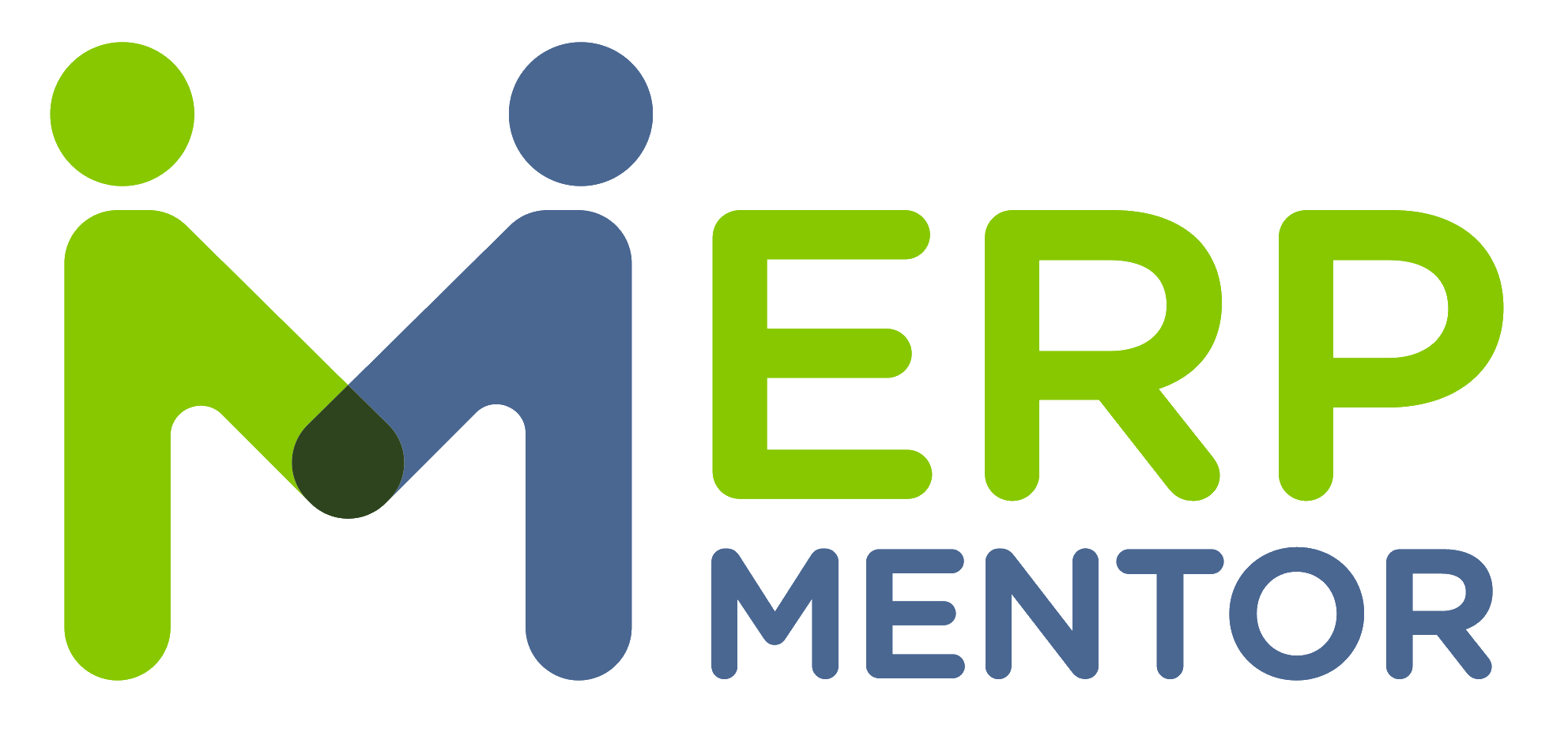 ERP Mentor logo